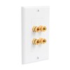 Bealuffe Speaker Wall Plate Speaker Wire Wall Plate, Audio Jack