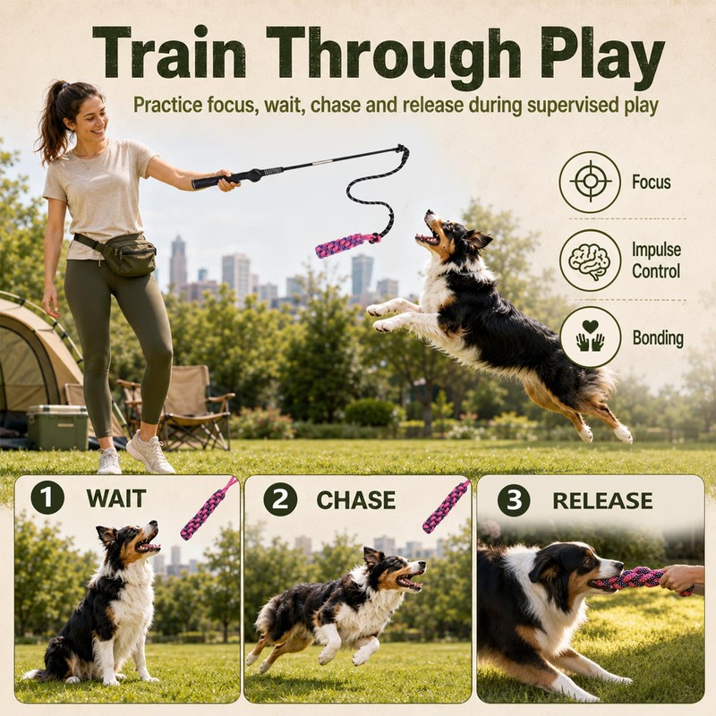 DEPURE Flirt Pole for Dogs,Heavy Duty Interactive Chase & Rope