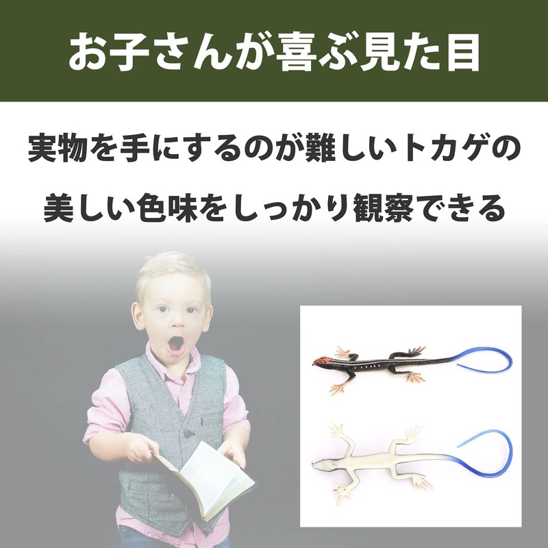 Felimoa Lizard Figure Model PVC Toy Set of 2 Colors