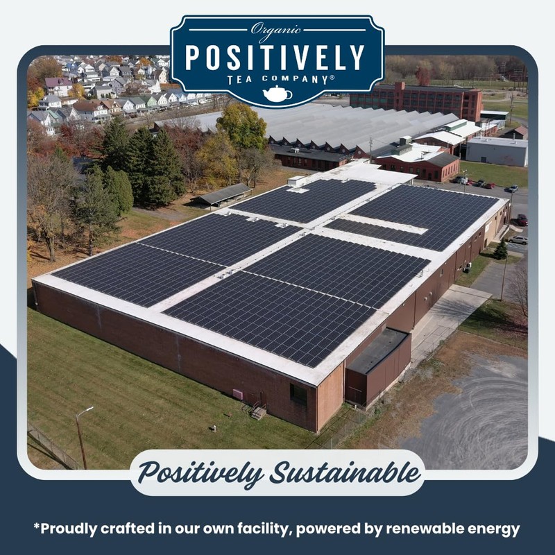 Organic Positively Tea Company, Blackberry Black Tea, K-Cup Compatible, 24