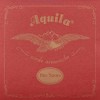 Aquila 109U Baritone Ukulele String D Red Series 109U 4th D for 6 and 8 – STRING