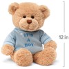 GUND 15418 It's a Boy Message BearStuffed Plush Toy, 30