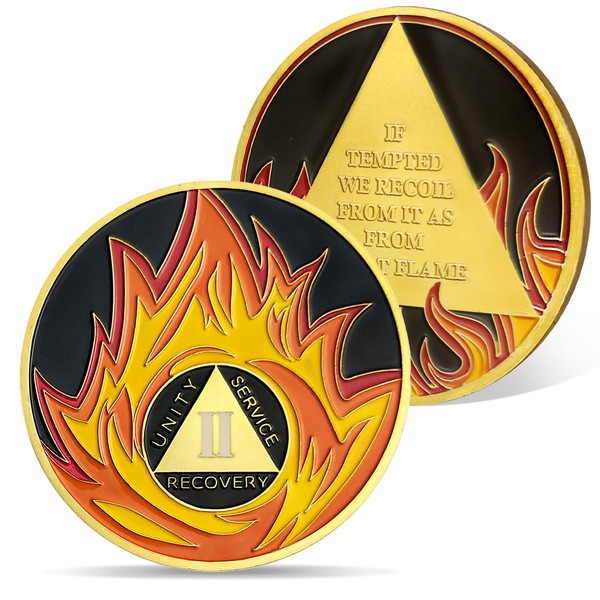 AtSKnSK 2 Year Sobriety Coin 1-10 Years Flames Sobriety Chip