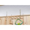 TRIXIE Small Animal Suspension Bridge, Hanging Cage Accessory with Hammock