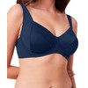 Triumph Women's Bikini, navy