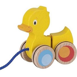 Ziehtier Ente
