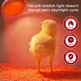 MISDOOD Infrared Heat Lamp for Chickens, 250 Watts Red Heat Lamp Bulb, Heat Light Bulb for Brooder Coop, Food Service, Chicks, Pet, Reptile, 2 Pack