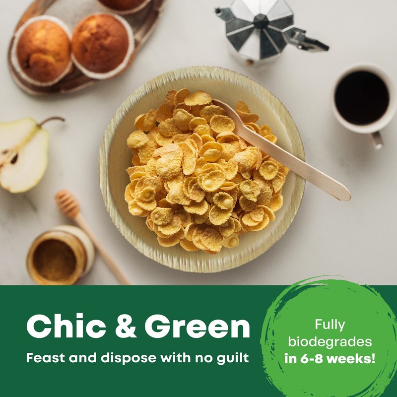 DISPOSABLE GREEN® | Round Bowls | Various Sizes | COMPOSTABLE,