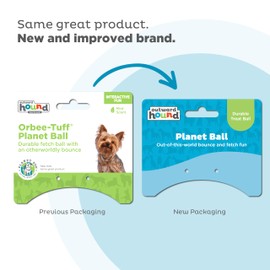 Outward Hound by Planet Dog Orbee-Tuff Planet Ball Blue/Green Treat-Dispensing Dog Toy, Small