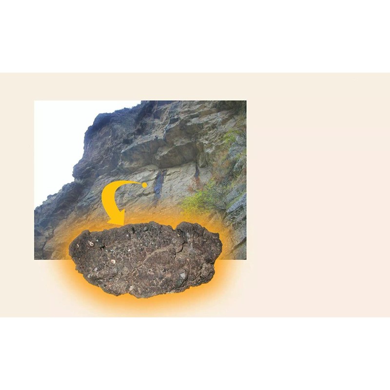 doublewood NEW! Dragon Herbs High Mountain Shilajit - 450 mg