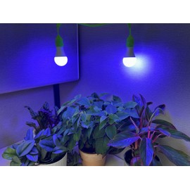 Miracle LED Blue Spectrum Ultra Grow Light Bulb for Pet Greens
