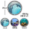 akindou 3D Wall Stickers Dolphins Sea Turtle Tropical Fish Wallpaper