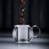 Bodum Assam Tea Press with Glass Handle and Coloured Plastic