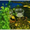 2Pcs Clear Aquatic Plant Cups with Suction Cups, Transparent Acrylic