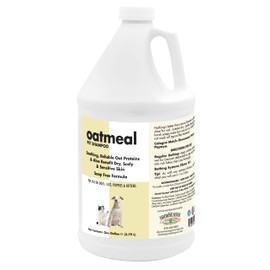 Itch Relief Oatmeal and Aloe Pet Shampoo for Dogs & Cats 1 Gallon | Anti-Itch & Deodorizing Formula | Soothes and Moisturizes Dry Itchy, Sensitive Skin