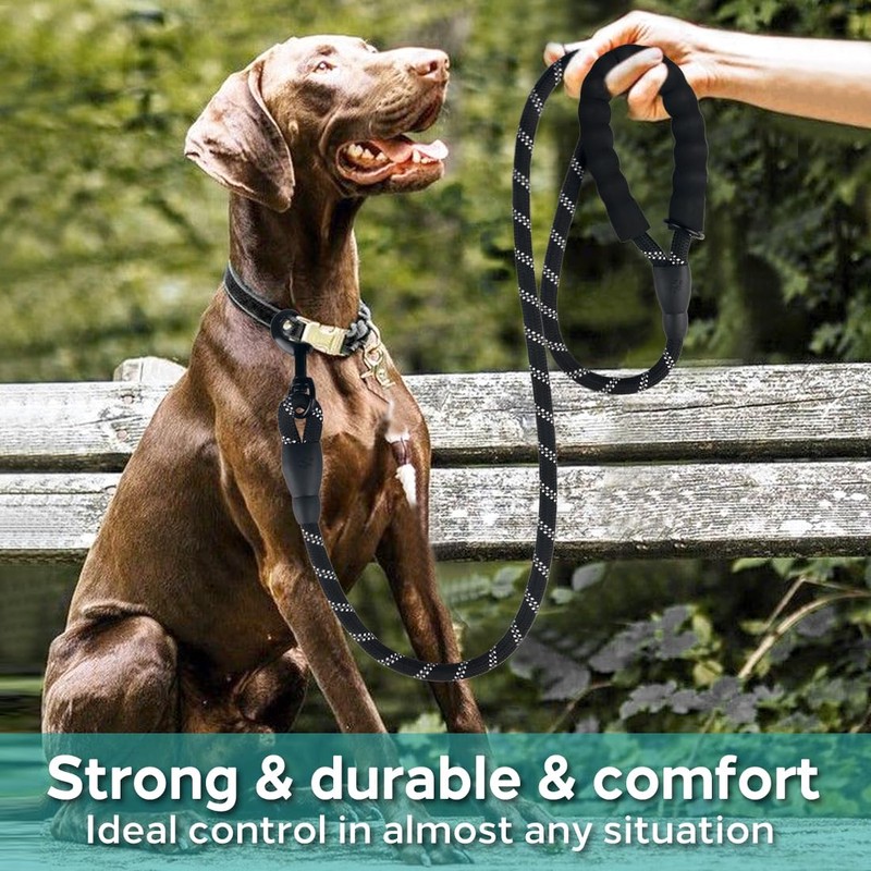 COOYOO Dog Leash 5/6 FT with Comfortable Padded Handle and