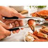 Stainless Steel Nutcracker Tool Made of Die-Cast Zinc for Nuts