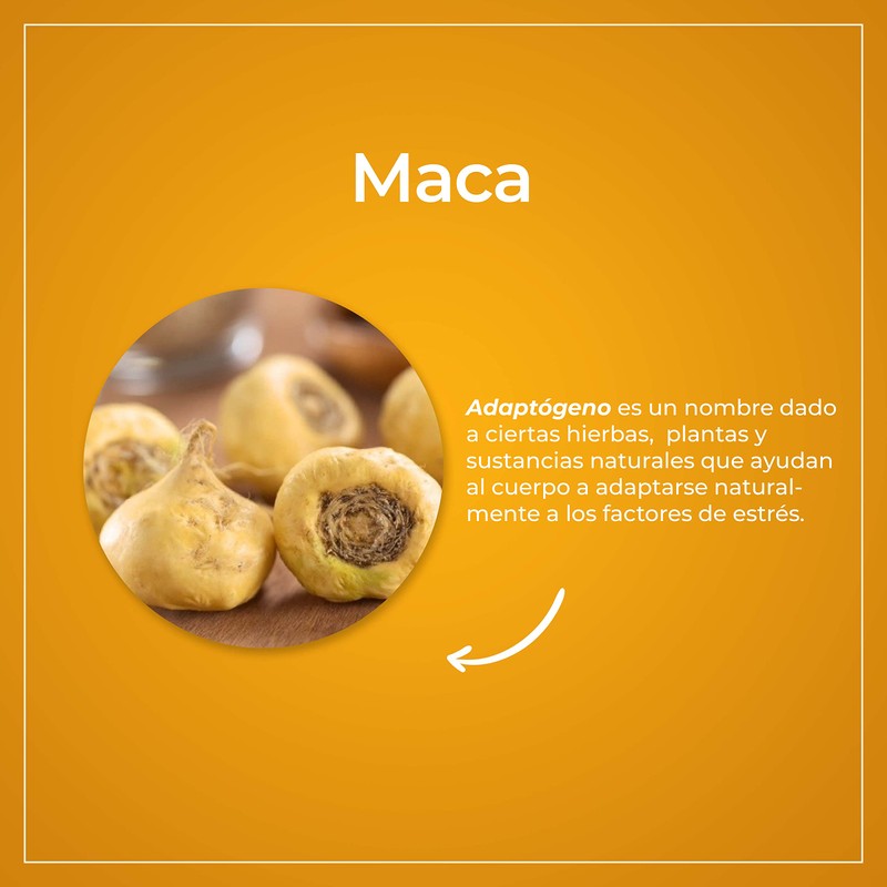 VIZANA NUTRITION | Maca Orgánica Certificada USDA en Polvo 300g