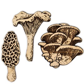 Mushroom 3 Pin Pack | Morel, Oyster, and Chanterelle Mushrooms Set | Wood Laser Cut Wild Forager Gifts