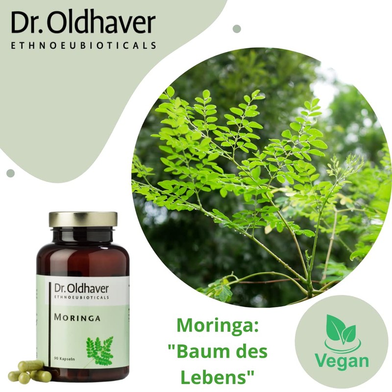 Dr. Oldhaver Moringa Capsules (90 Capsules) Oleifera Leaf Powder -