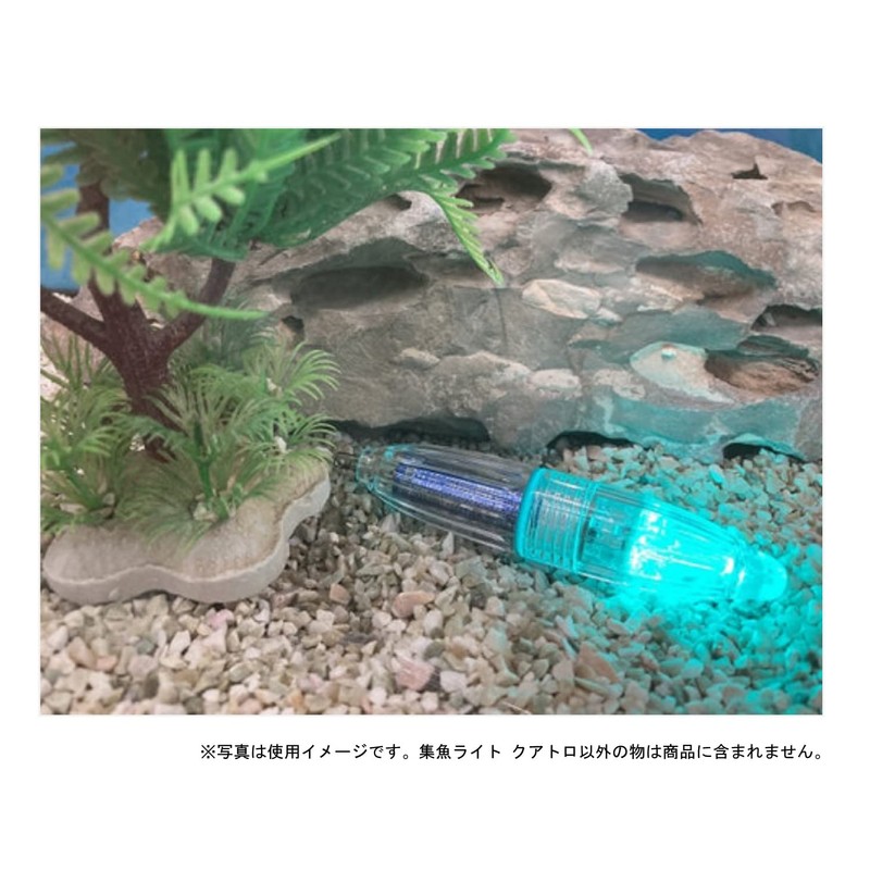 Lumica (Japan Chemiluminescence) C20296 Aquatic Fish Catcher Light Quattro