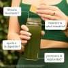 Supergreen Polvo Verduras Sobres Pure Natural Products