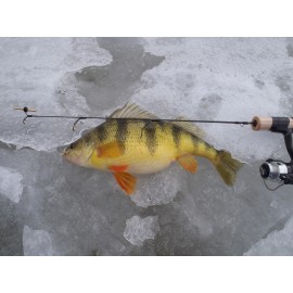 Hardwater Customs St Croix Legend Style Custom Ice Rod  24" Med. Action