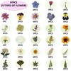 Dried Pressed Flowers, 81 Pcs Bulk Dried Flowers Dry Leaves