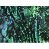 New Creations Fabric And Foam Green Iridescent And Reversible Sequins