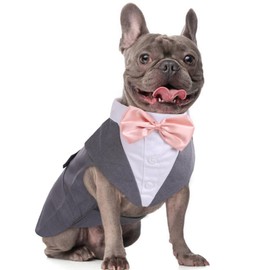 DORA BRIDAL Dog Tuxedo for Medium Dogs, Dog Suit and Bowtie, Formal Dogs Wedding Outfit, Pet Tuxedo and Bandana Set Valentines Birthday Costumes for French Bulldog, Pomeranian, Dachshund, Grey, M