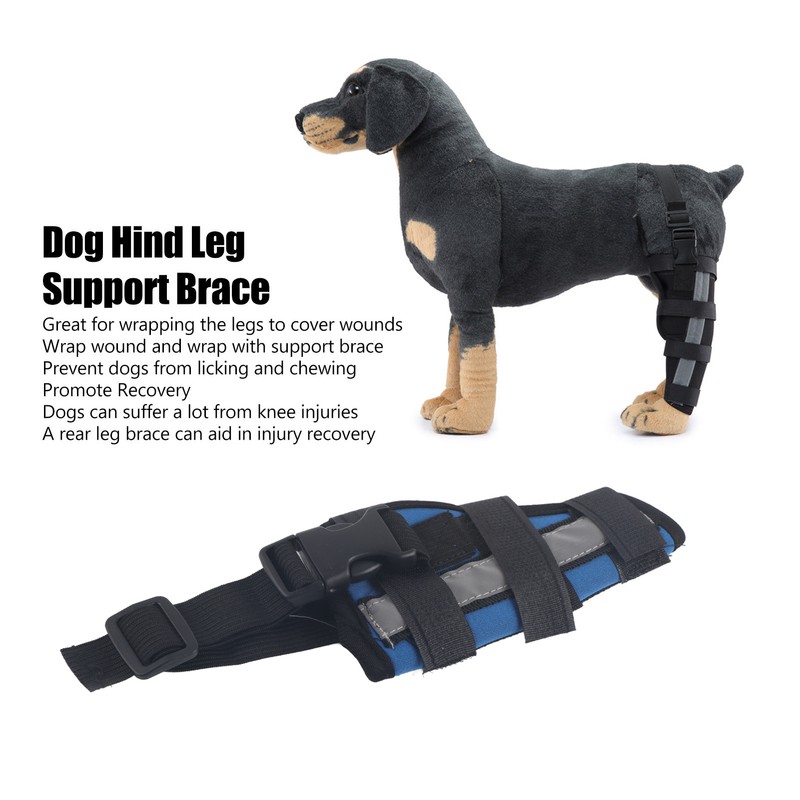 Dog Rear Leg Hock Brace Breathable Stable Dog Leg Joint