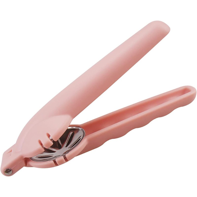 Chestnut Cutter Chestnut Opener Cutter Chestnut Tongs Nutcracker Chestnut Opener