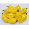 Puerto Rican Yellow Pepper 10+ Seeds