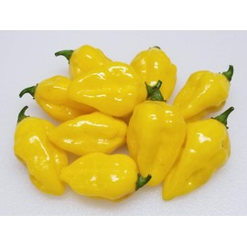Puerto Rican Yellow Pepper 10+ Seeds