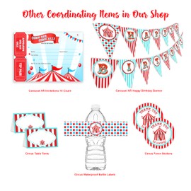 Circus Carnival Happy Birthday Banner Pennant