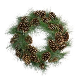 Northlight Real Touch Long Needle Pine and Pine Cone Artificial Christmas Wreath - 24" - Unlit