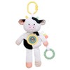 Plush 10 inch Plush Activity Toy with Teethers, Crinkle, Spinner