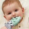 Itzy Ritzy Popper Teether Mitt (Cactus)