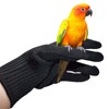 Refein Bird Training Anti- Bite Gloves, Parrot Chewing Working Protective