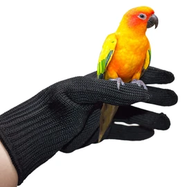 Refein Bird Training Anti- Bite Gloves, Parrot Chewing Working Protective Gloves, Chewing Protective Steel Wire Gloves for Birds Gripping/Training/Feeding
