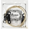 Ibanez IACS6C Acoustic Guitar Bronze Strings Set - Light Gauge,
