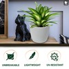 PECZEKO Matte Flower Pot, Plastic Planter, Decorative Pot for Large