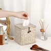 Sumnacon Tissue Box Cover Square Seagrass Tissue Box with Lid,