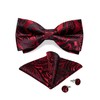 DiBanGu Silk Black and Red Paisley Pre-Tied Bowtie Adjustable Bowtie