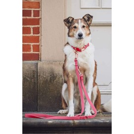 Soft Leather Dog Collar and Leash (6.6') Set - Stylish Rose Gold Heavy Duty Metal Buckle, 4 Adjustable Lengths Leash for Small Medium Large Dogs - Comfortable & Easy to Clean Dark Pink L(15.4"-24.8")