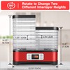 COOCHEER Food Dehydrator Machine, 400W 8 Trays Dehydrators for Food
