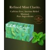 EZR Leaf Mint Herbal Tea, Caffeine Free Decaf, Pyramid Tea