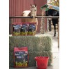 Horse Guard Trifecta 10 lb, 4 Equine Vitamin Minerals in