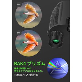 Aesval Binoculars for Live Use, Concert, 10x, 10x Telescope, Compatible with Glasses, Bak4 Lens, Eye Width Adjustment, Lightweight, Compact, Strap, Storage Bag Included, Japanese Instruction Manual