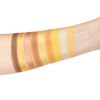 FRUITY FUN EYESHADOW PALETTE - Color: Lemon drop